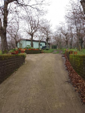 Chalet immerso nel Bosco Melfi
